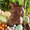 Chocolate Bunny Fragrance Oil (Our Version of the Brand Name) (16 oz Bottle) for Candle Making, Soap Making, Tart Making, Room Sprays, Lotions, Car Fresheners, Slime, Bath Bombs, Warmers…